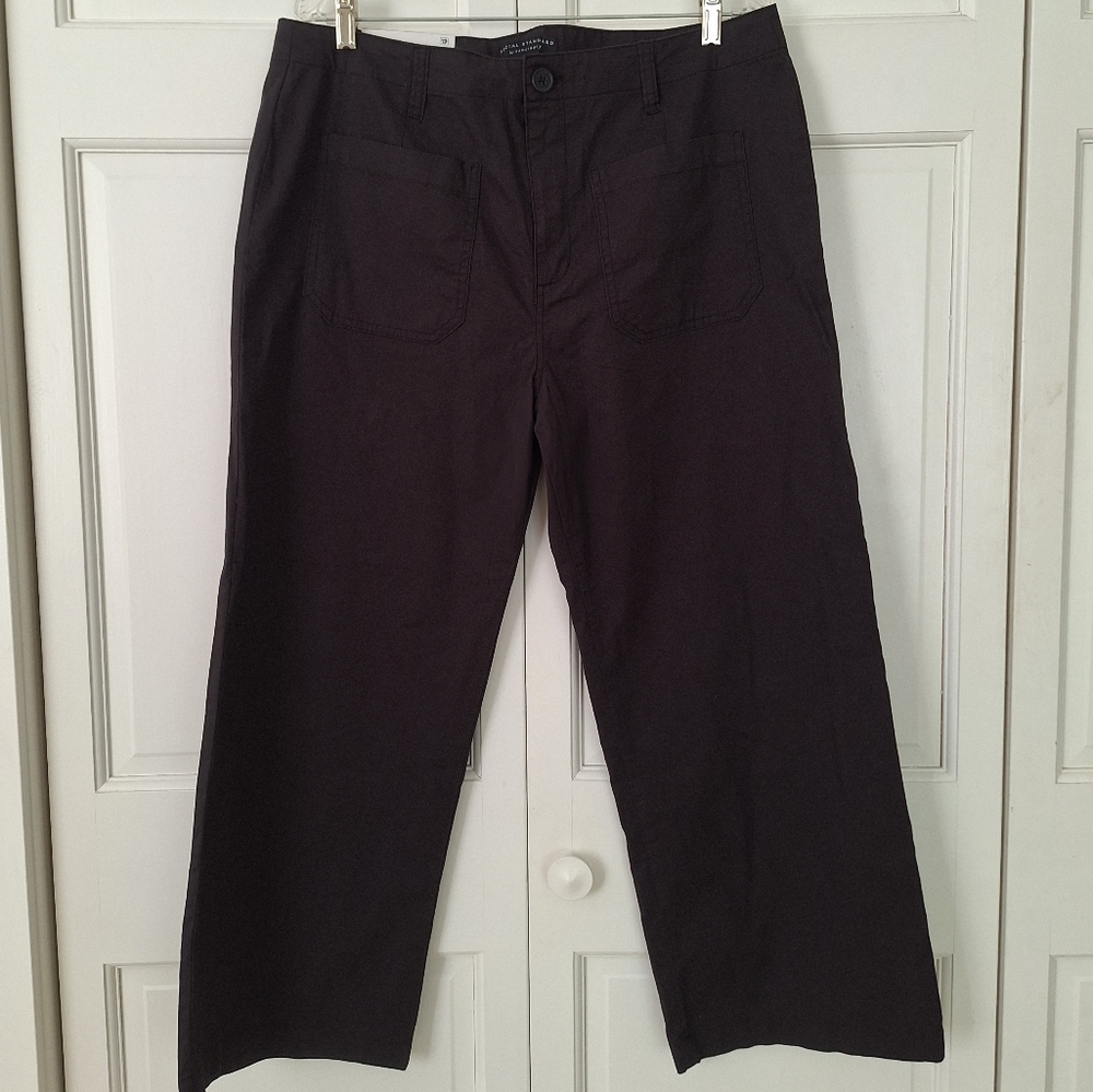 Sanctuary Juliet Crop twill pants - NWT